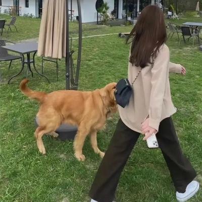 驻站